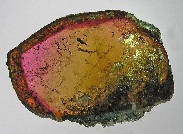 A polished bicolor tourmaline crystal cross-section showing pink and golden-yellow zones