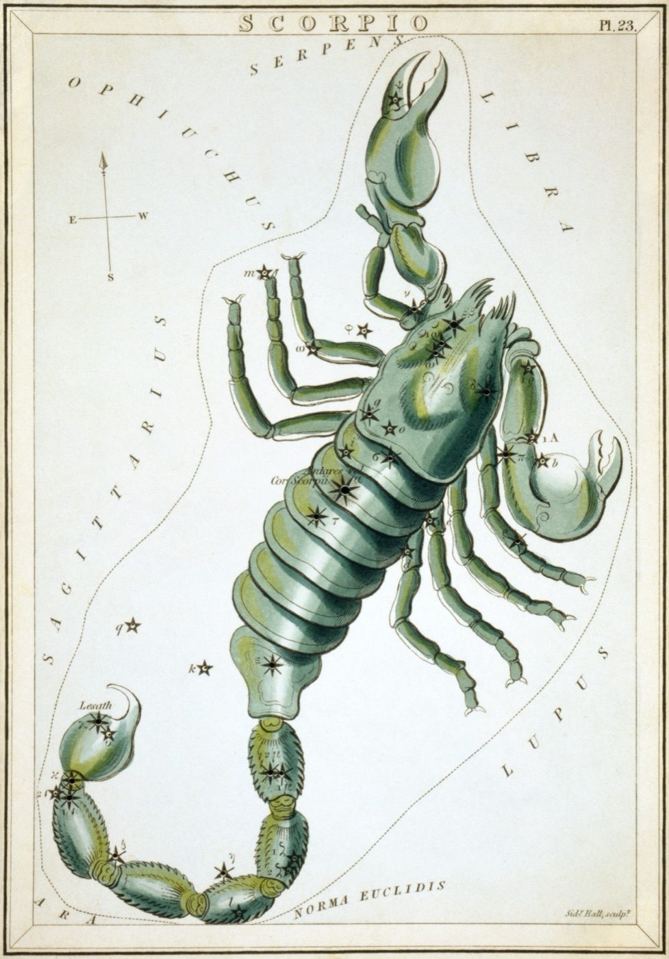 Hand-colored 19th-century star chart of the Scorpio constellation from Urania's Mirror, showing the scorpion against the night sky